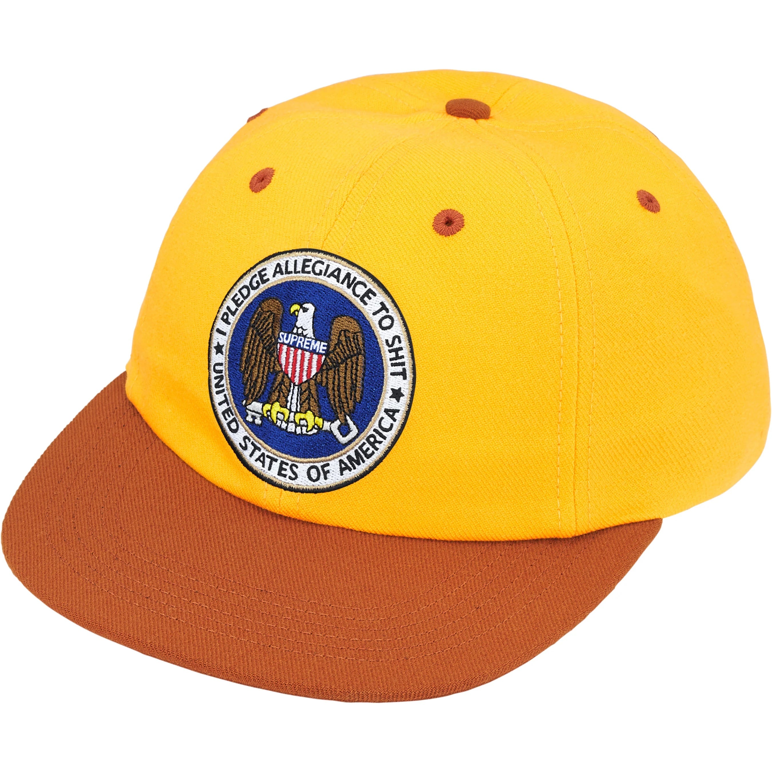 Pledge Allegiance 6-Panel view 4